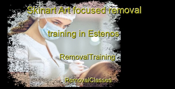 Skinart Art-focused removal training in Estenos | RemovalTraining | RemovalClasses | SkinartTraining-France