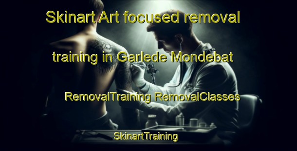 Skinart Art-focused removal training in Garlede Mondebat | #RemovalTraining #RemovalClasses #SkinartTraining-France