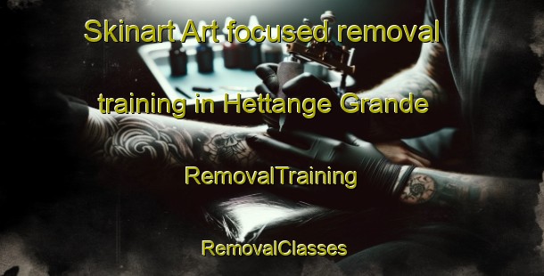 Skinart Art-focused removal training in Hettange Grande | RemovalTraining | RemovalClasses | SkinartTraining-France