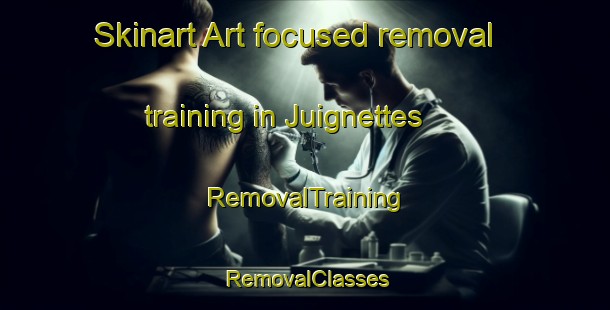 Skinart Art-focused removal training in Juignettes | RemovalTraining | RemovalClasses | SkinartTraining-France