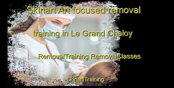 Skinart Art-focused removal training in Le Grand Chaloy | #RemovalTraining #RemovalClasses #SkinartTraining-France