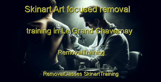 Skinart Art-focused removal training in Le Grand Chavernay | #RemovalTraining #RemovalClasses #SkinartTraining-France