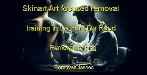 Skinart Art-focused removal training in Le Pont Du Raud | RemovalTraining | RemovalClasses | SkinartTraining-France