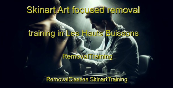 Skinart Art-focused removal training in Les Hauts Buissons | #RemovalTraining #RemovalClasses #SkinartTraining-France