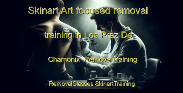 Skinart Art-focused removal training in Les Praz De Chamonix | #RemovalTraining #RemovalClasses #SkinartTraining-France