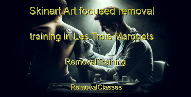 Skinart Art-focused removal training in Les Trois Marquets | RemovalTraining | RemovalClasses | SkinartTraining-France