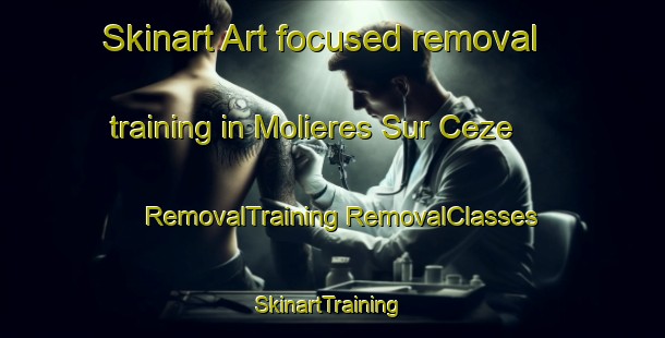 Skinart Art-focused removal training in Molieres Sur Ceze | #RemovalTraining #RemovalClasses #SkinartTraining-France