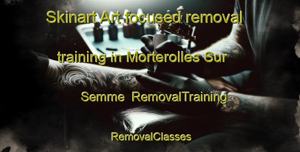 Skinart Art-focused removal training in Morterolles Sur Semme | RemovalTraining | RemovalClasses | SkinartTraining-France