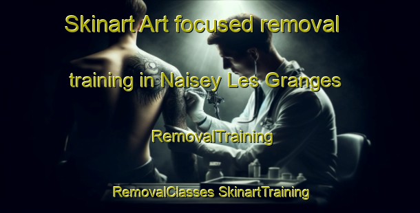 Skinart Art-focused removal training in Naisey Les Granges | #RemovalTraining #RemovalClasses #SkinartTraining-France