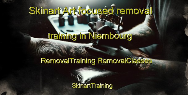 Skinart Art-focused removal training in Niembourg | #RemovalTraining #RemovalClasses #SkinartTraining-France