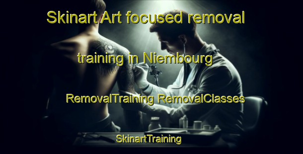 Skinart Art-focused removal training in Niembourg | #RemovalTraining #RemovalClasses #SkinartTraining-France