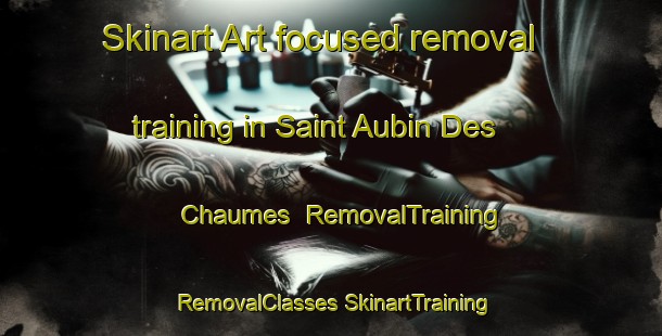 Skinart Art-focused removal training in Saint Aubin Des Chaumes | #RemovalTraining #RemovalClasses #SkinartTraining-France