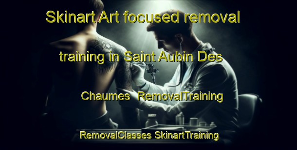 Skinart Art-focused removal training in Saint Aubin Des Chaumes | #RemovalTraining #RemovalClasses #SkinartTraining-France