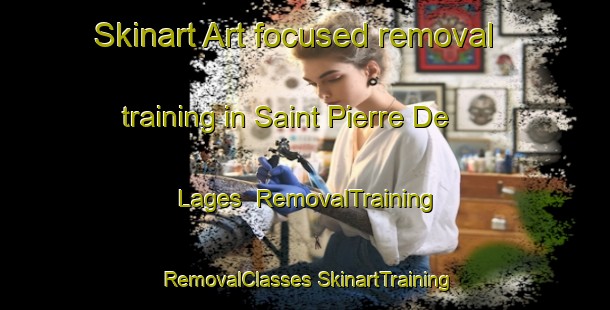 Skinart Art-focused removal training in Saint Pierre De Lages | #RemovalTraining #RemovalClasses #SkinartTraining-France