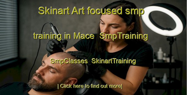 Skinart Art-focused smp training in Mace | SmpTraining | SmpClasses | SkinartTraining-France