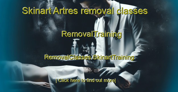 Skinart Artres removal classes | #RemovalTraining #RemovalClasses #SkinartTraining-France