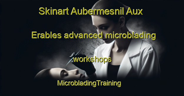 Skinart Aubermesnil Aux Erables advanced microblading workshops | MicrobladingTraining | MicrobladingClasses | SkinartTraining-France