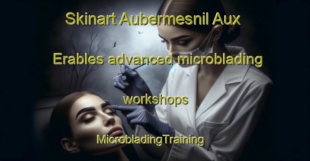 Skinart Aubermesnil Aux Erables advanced microblading workshops | MicrobladingTraining | MicrobladingClasses | SkinartTraining-France