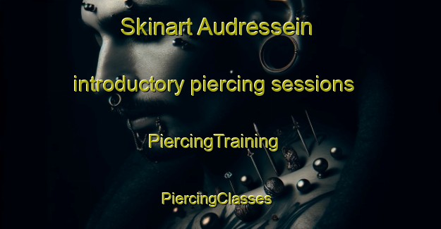 Skinart Audressein introductory piercing sessions | PiercingTraining | PiercingClasses | SkinartTraining-France