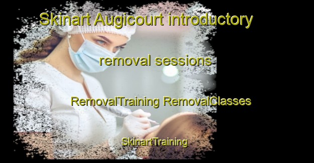 Skinart Augicourt introductory removal sessions | #RemovalTraining #RemovalClasses #SkinartTraining-France