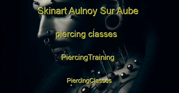 Skinart Aulnoy Sur Aube piercing classes | #PiercingTraining #PiercingClasses #SkinartTraining-France