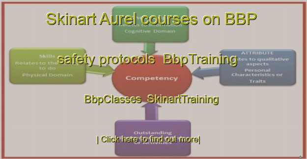 Skinart Aurel courses on BBP safety protocols | BbpTraining | BbpClasses | SkinartTraining-France