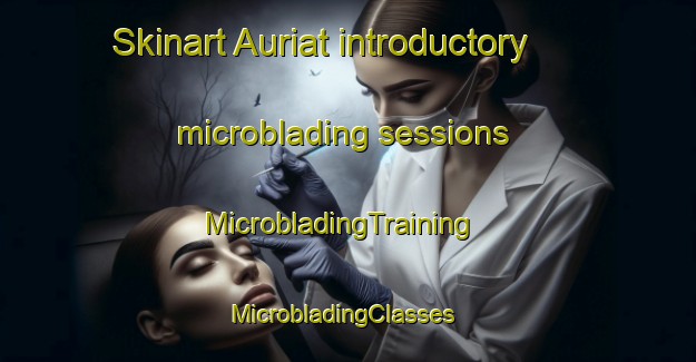 Skinart Auriat introductory microblading sessions | MicrobladingTraining | MicrobladingClasses | SkinartTraining-France