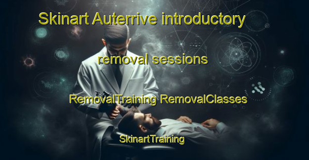 Skinart Auterrive introductory removal sessions | #RemovalTraining #RemovalClasses #SkinartTraining-France