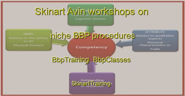 Skinart Avin workshops on niche BBP procedures | BbpTraining | BbpClasses | SkinartTraining-France