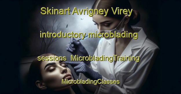 Skinart Avrigney Virey introductory microblading sessions | #MicrobladingTraining #MicrobladingClasses #SkinartTraining-France