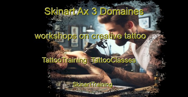 Skinart Ax 3 Domaines workshops on creative tattoo | TattooTraining | TattooClasses | SkinartTraining-France