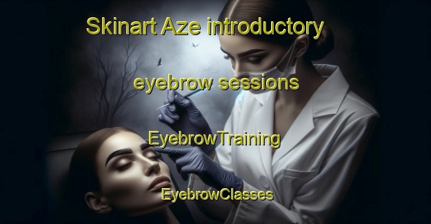 Skinart Aze introductory eyebrow sessions | EyebrowTraining | EyebrowClasses | SkinartTraining-France