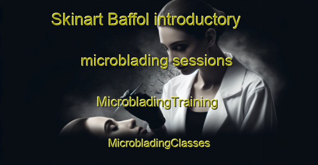 Skinart Baffol introductory microblading sessions | #MicrobladingTraining #MicrobladingClasses #SkinartTraining-France