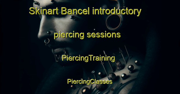 Skinart Bancel introductory piercing sessions | #PiercingTraining #PiercingClasses #SkinartTraining-France