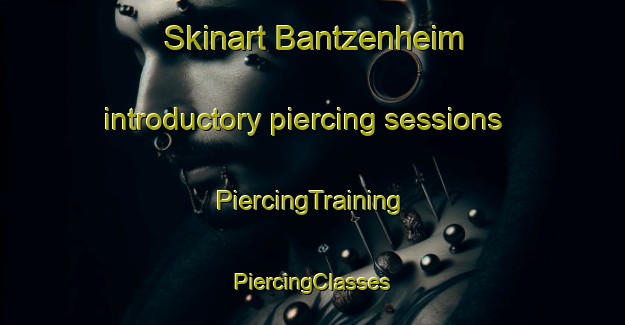 Skinart Bantzenheim introductory piercing sessions | #PiercingTraining #PiercingClasses #SkinartTraining-France