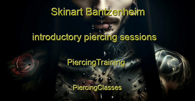 Skinart Bantzenheim introductory piercing sessions | #PiercingTraining #PiercingClasses #SkinartTraining-France