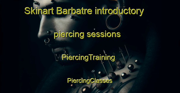 Skinart Barbatre introductory piercing sessions | #PiercingTraining #PiercingClasses #SkinartTraining-France