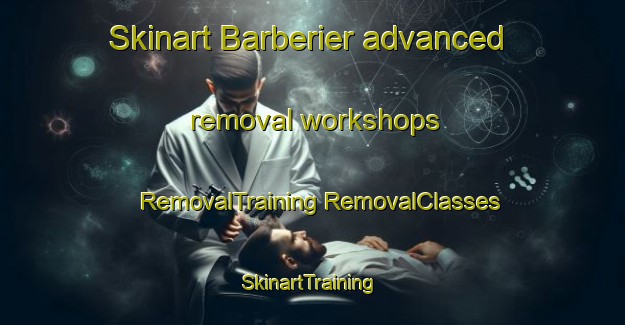 Skinart Barberier advanced removal workshops | #RemovalTraining #RemovalClasses #SkinartTraining-France