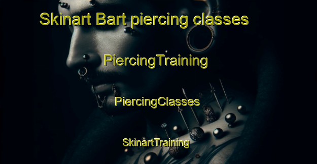 Skinart Bart piercing classes | #PiercingTraining #PiercingClasses #SkinartTraining-France