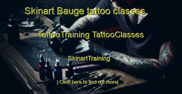 Skinart Bauge tattoo classes | #TattooTraining #TattooClasses #SkinartTraining-France