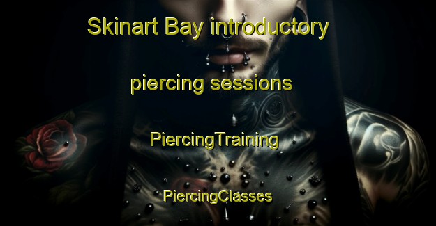 Skinart Bay introductory piercing sessions | #PiercingTraining #PiercingClasses #SkinartTraining-France