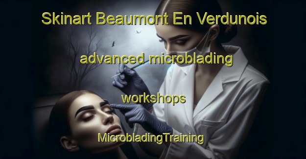 Skinart Beaumont En Verdunois advanced microblading workshops | #MicrobladingTraining #MicrobladingClasses #SkinartTraining-France