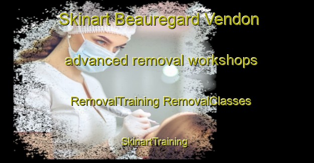 Skinart Beauregard Vendon advanced removal workshops | #RemovalTraining #RemovalClasses #SkinartTraining-France