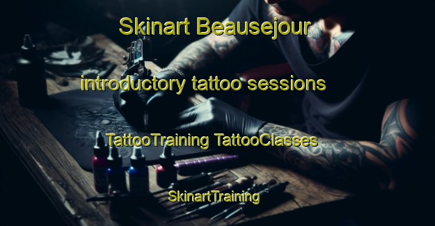 Skinart Beausejour introductory tattoo sessions | #TattooTraining #TattooClasses #SkinartTraining-France