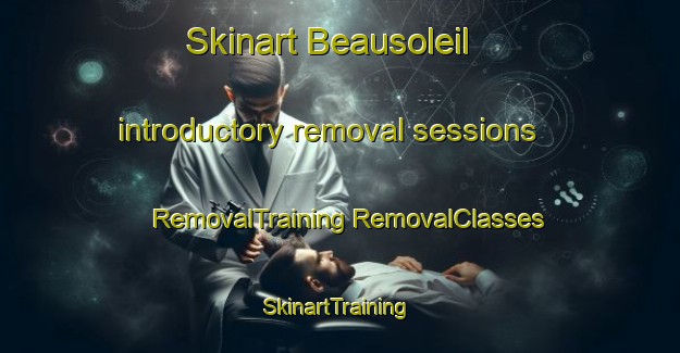 Skinart Beausoleil introductory removal sessions | #RemovalTraining #RemovalClasses #SkinartTraining-France