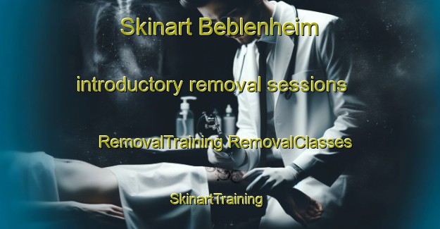 Skinart Beblenheim introductory removal sessions | #RemovalTraining #RemovalClasses #SkinartTraining-France