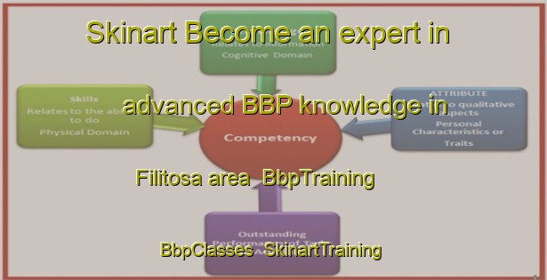 Skinart Become an expert in advanced BBP knowledge in Filitosa area | BbpTraining | BbpClasses | SkinartTraining-France