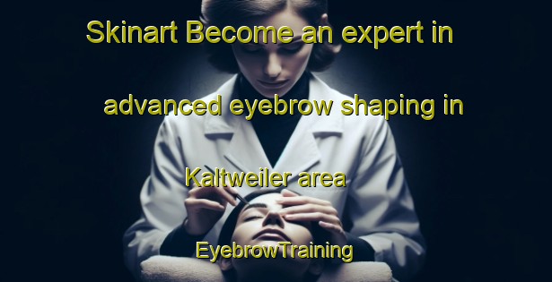 Skinart Become an expert in advanced eyebrow shaping in Kaltweiler area | EyebrowTraining | EyebrowClasses | SkinartTraining-France