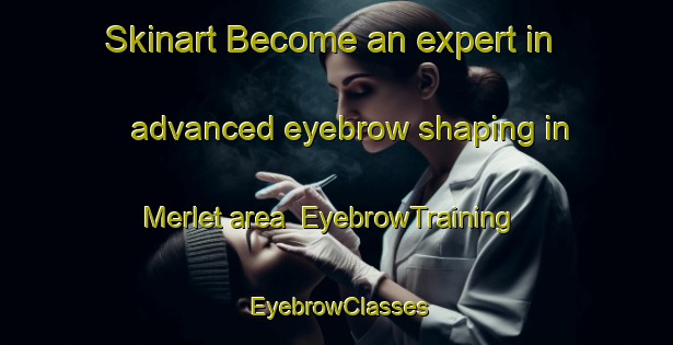 Skinart Become an expert in advanced eyebrow shaping in Merlet area | EyebrowTraining | EyebrowClasses | SkinartTraining-France
