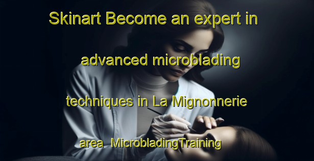 Skinart Become an expert in advanced microblading techniques in La Mignonnerie area | MicrobladingTraining | MicrobladingClasses | SkinartTraining-France